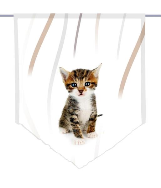 Findus vertic Katzenbaby, Scheibenhänger spitz